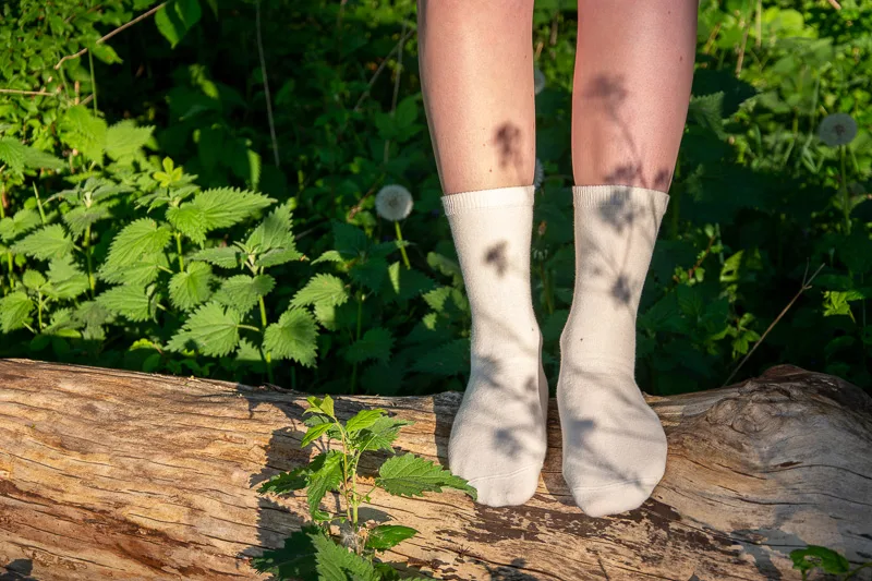 Socklab foto