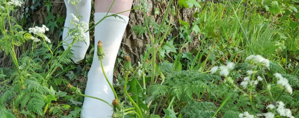 Socklab